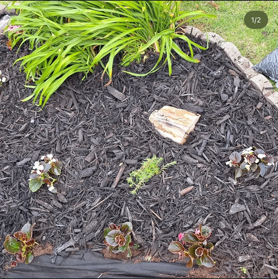 Fresh mulch installation in a landscaped flower bed