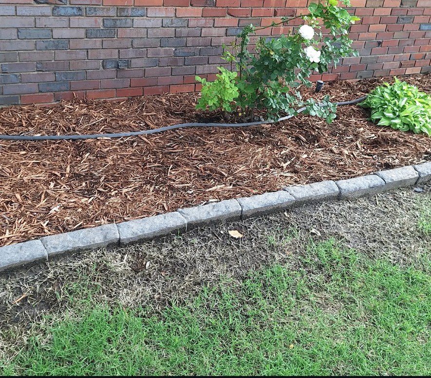 Clean mulch bed with a rose bush and stone edging along a brick wall