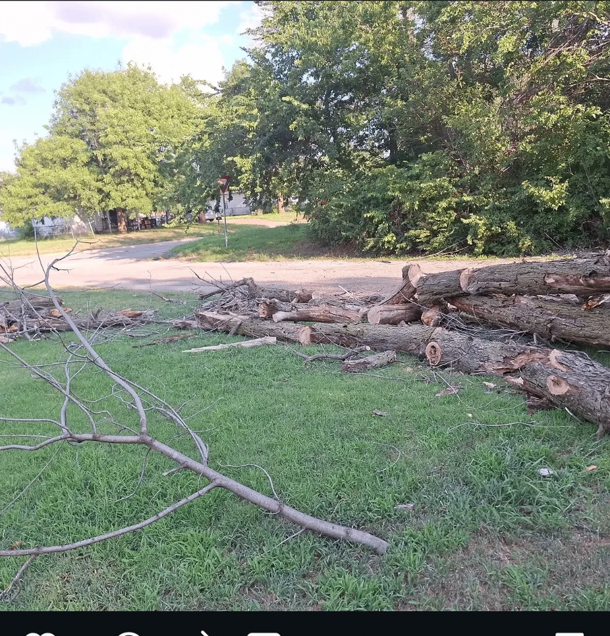 Tree and yard work completed by AlaCarte Mowing & More